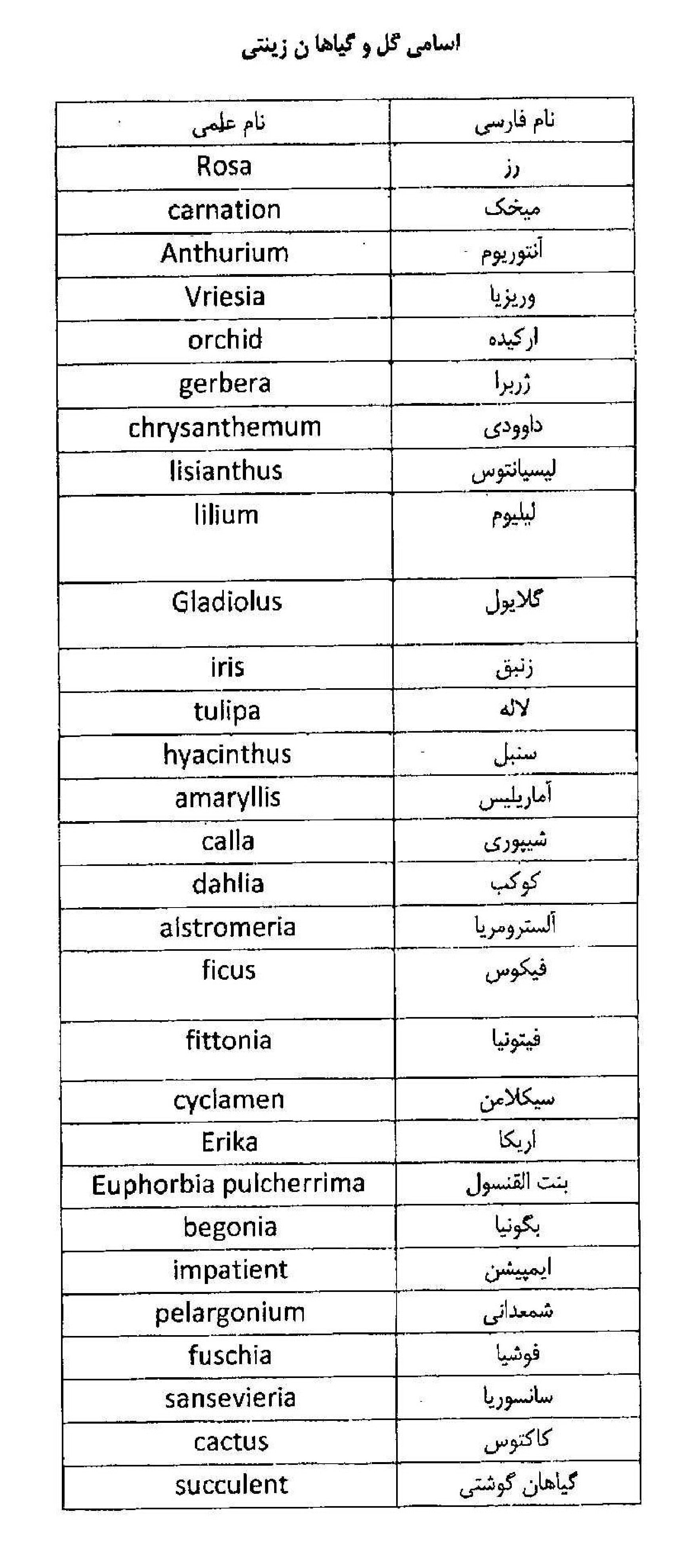 صادرات-عدم نیاز به اخذ مجوز صادرات برای گل های زینتی از وزارت جهاد کشاورزی (شهریور96)تاریخ1396/6/7-2